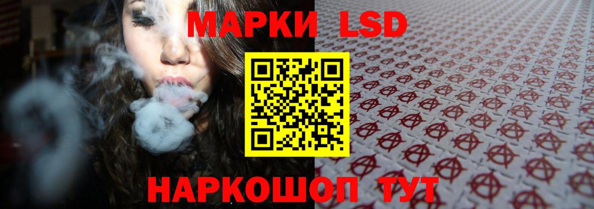 LSD-25  MDMA  Каннабис  Кокаин  Свободный  ГАШ  АМФ   МЕФ кристаллы  Вейп ТГК  Вход с VPN 
