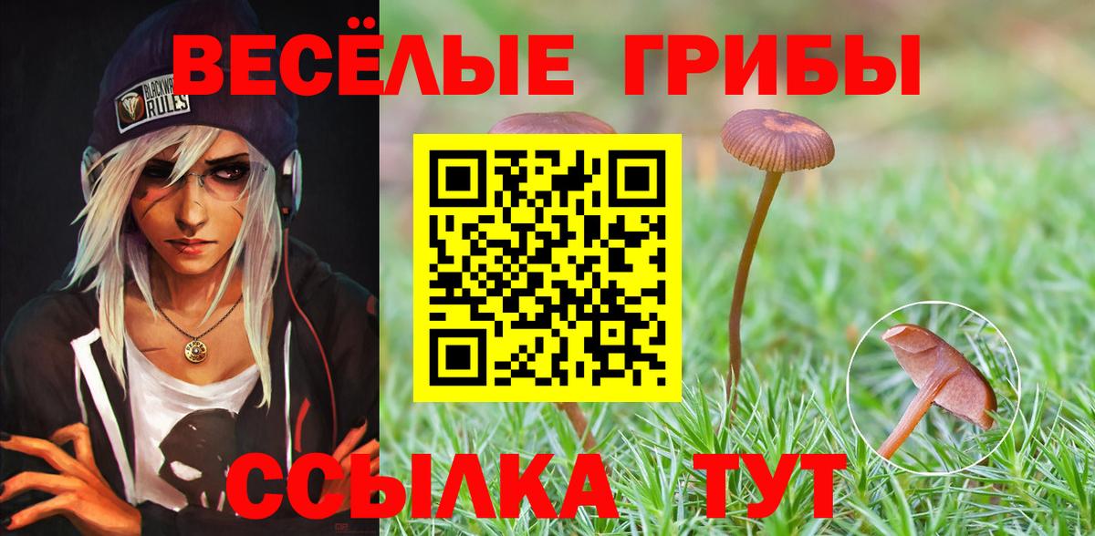 Псилоцибиновые грибы GOLDEN TEACHER Свободный